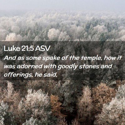 Picture 02 - Luke 21:5 ASV - And as some spake of the temple, how it was - Bible Verse Picture