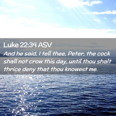 Picture 02 - Luke 22:34 ASV - And he said, I tell thee, Peter, the cock shall - Bible Verse Picture