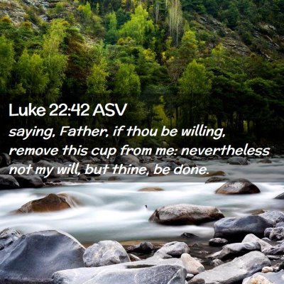 Picture 02 - Luke 22:42 ASV - saying, Father, if thou be willing, remove this - Bible Verse Picture