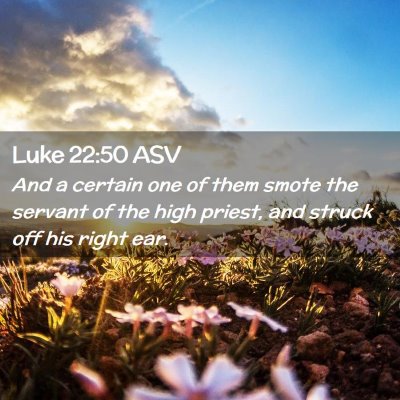 Picture 02 - Luke 22:50 ASV - And a certain one of them smote the servant of - Bible Verse Picture
