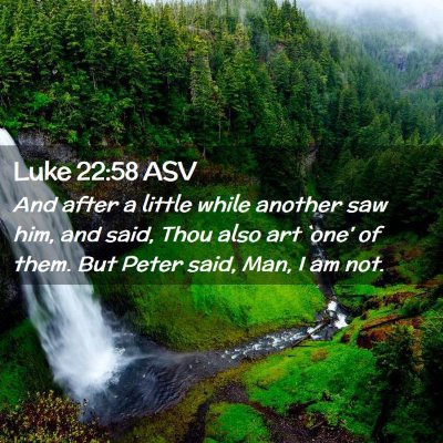 Picture 02 - Luke 22:58 ASV - And after a little while another saw him, and - Bible Verse Picture