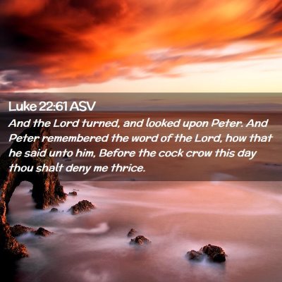 Picture 02 - Luke 22:61 ASV - And the Lord turned, and looked upon Peter. And - Bible Verse Picture