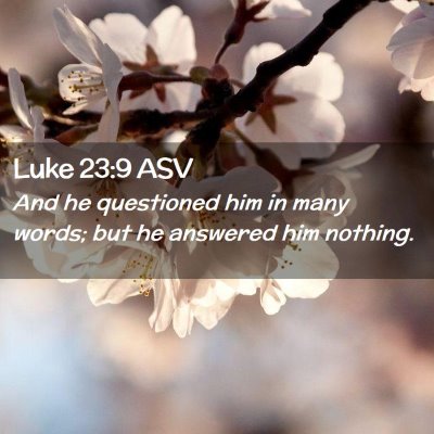 Picture 02 - Luke 23:9 ASV - And he questioned him in many words; but he - Bible Verse Picture