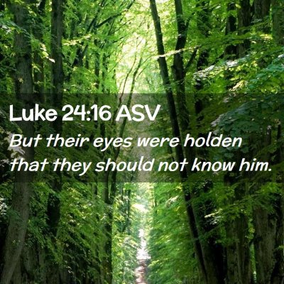 Picture 02 - Luke 24:16 ASV - But their eyes were holden that they should not - Bible Verse Picture