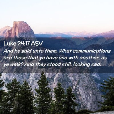 Picture 02 - Luke 24:17 ASV - And he said unto them, What communications are - Bible Verse Picture