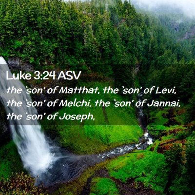 Picture 02 - Luke 3:24 ASV - the `son' of Matthat, the `son' of Levi, the - Bible Verse Picture