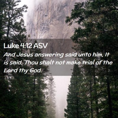 Picture 02 - Luke 4:12 ASV - And Jesus answering said unto him, It is said, - Bible Verse Picture