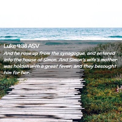Picture 02 - Luke 4:38 ASV - And he rose up from the synagogue, and entered - Bible Verse Picture