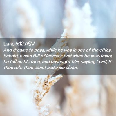 Picture 02 - Luke 5:12 ASV - And it came to pass, while he was in one of the - Bible Verse Picture