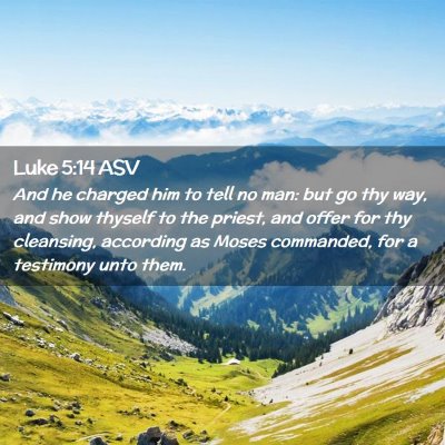 Picture 02 - Luke 5:14 ASV - And he charged him to tell no man: but go thy - Bible Verse Picture