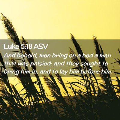 Picture 02 - Luke 5:18 ASV - And behold, men bring on a bed a man that was - Bible Verse Picture