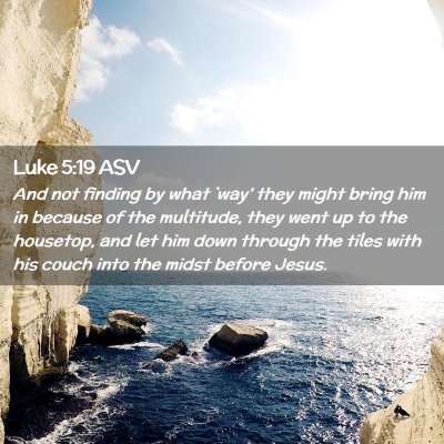 Picture 02 - Luke 5:19 ASV - And not finding by what `way' they might bring - Bible Verse Picture