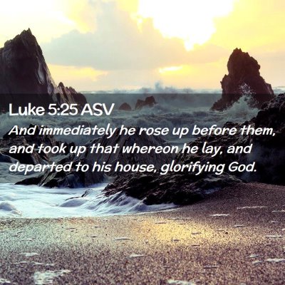 Picture 02 - Luke 5:25 ASV - And immediately he rose up before them, and took - Bible Verse Picture