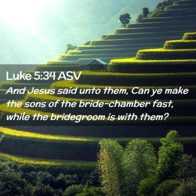 Picture 02 - Luke 5:34 ASV - And Jesus said unto them, Can ye make the sons of - Bible Verse Picture