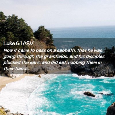 Picture 02 - Luke 6:1 ASV - Now it came to pass on a sabbath, that he was - Bible Verse Picture