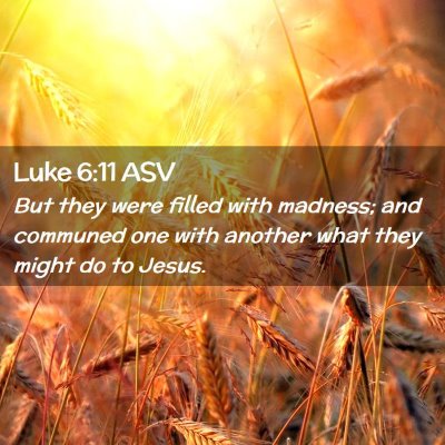 Picture 02 - Luke 6:11 ASV - But they were filled with madness; and communed - Bible Verse Picture