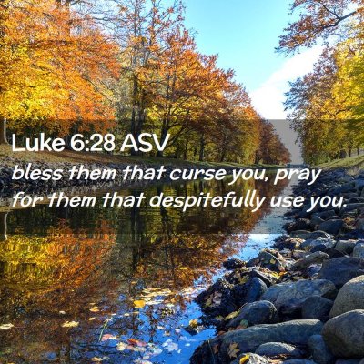 Picture 02 - Luke 6:28 ASV - bless them that curse you, pray for them that - Bible Verse Picture