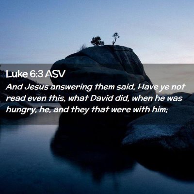 Picture 02 - Luke 6:3 ASV - And Jesus answering them said, Have ye not read - Bible Verse Picture