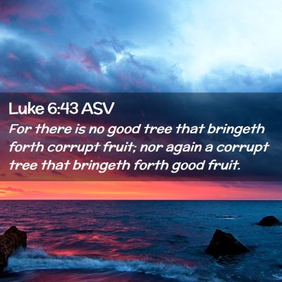 Picture 02 - Luke 6:43 ASV - For there is no good tree that bringeth forth - Bible Verse Picture