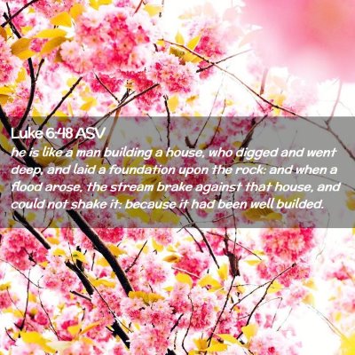 Picture 02 - Luke 6:48 ASV - he is like a man building a house, who digged and - Bible Verse Picture