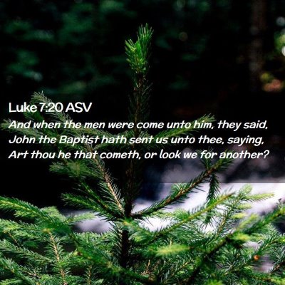Picture 02 - Luke 7:20 ASV - And when the men were come unto him, they said, - Bible Verse Picture