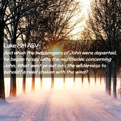 Picture 02 - Luke 7:24 ASV - And when the messengers of John were departed, he - Bible Verse Picture