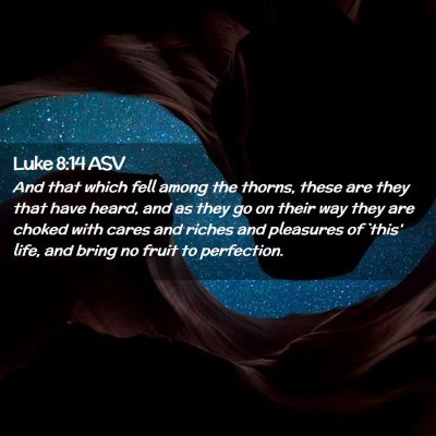 Picture 02 - Luke 8:14 ASV - And that which fell among the thorns, these are - Bible Verse Picture