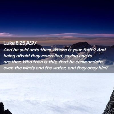 Picture 02 - Luke 8:25 ASV - And he said unto them, Where is your faith? And - Bible Verse Picture