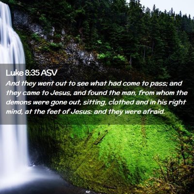 Picture 02 - Luke 8:35 ASV - And they went out to see what had come to pass; - Bible Verse Picture
