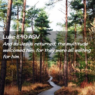 Picture 02 - Luke 8:40 ASV - And as Jesus returned, the multitude welcomed - Bible Verse Picture
