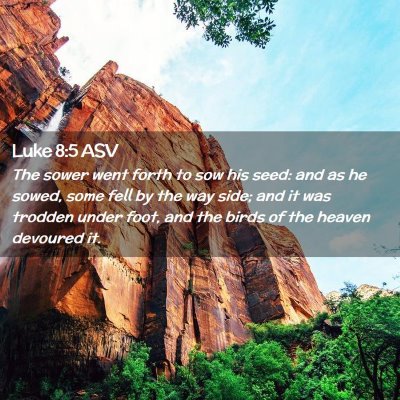 Picture 02 - Luke 8:5 ASV - The sower went forth to sow his seed: and as he - Bible Verse Picture