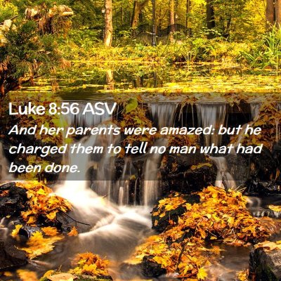 Picture 02 - Luke 8:56 ASV - And her parents were amazed: but he charged them - Bible Verse Picture