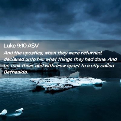 Picture 02 - Luke 9:10 ASV - And the apostles, when they were returned, - Bible Verse Picture