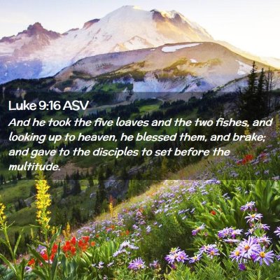 Picture 02 - Luke 9:16 ASV - And he took the five loaves and the two fishes, - Bible Verse Picture
