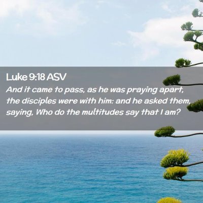 Picture 02 - Luke 9:18 ASV - And it came to pass, as he was praying apart, the - Bible Verse Picture