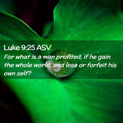 Picture 02 - Luke 9:25 ASV - For what is a man profited, if he gain the whole - Bible Verse Picture
