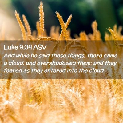 Picture 02 - Luke 9:34 ASV - And while he said these things, there came a - Bible Verse Picture