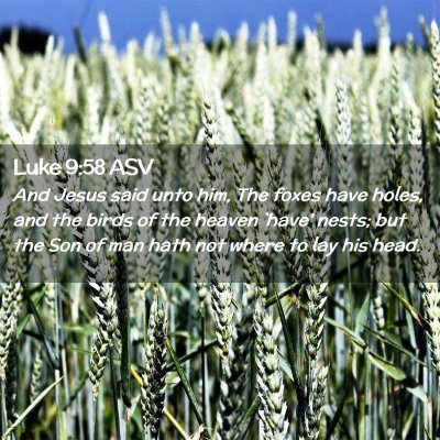 Picture 02 - Luke 9:58 ASV - And Jesus said unto him, The foxes have holes, - Bible Verse Picture