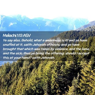 Picture 02 - Malachi 1:13 ASV - Ye say also, Behold, what a weariness is it! and - Bible Verse Picture