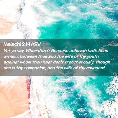 Picture 02 - Malachi 2:14 ASV - Yet ye say, Wherefore? Because Jehovah hath been - Bible Verse Picture