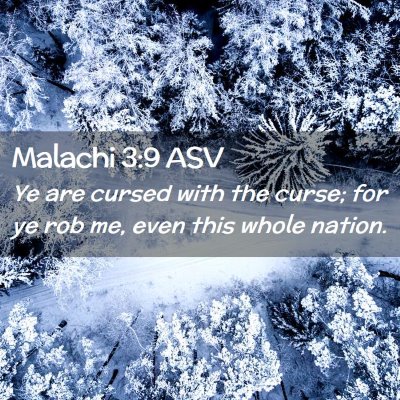 Picture 02 - Malachi 3:9 ASV - Ye are cursed with the curse; for ye rob me, even - Bible Verse Picture