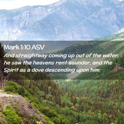 Picture 02 - Mark 1:10 ASV - And straightway coming up out of the water, he - Bible Verse Picture