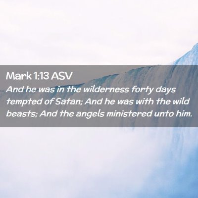 Picture 02 - Mark 1:13 ASV - And he was in the wilderness forty days tempted - Bible Verse Picture