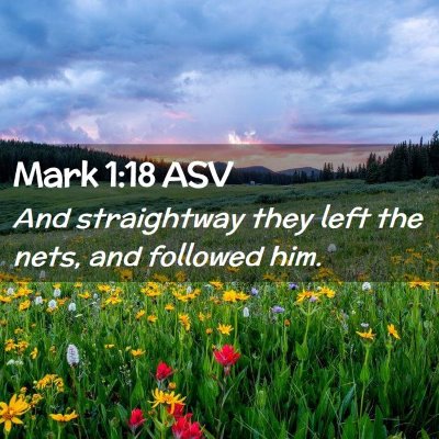 Picture 02 - Mark 1:18 ASV - And straightway they left the nets, and followed - Bible Verse Picture