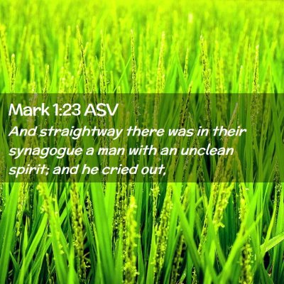Picture 02 - Mark 1:23 ASV - And straightway there was in their synagogue a - Bible Verse Picture