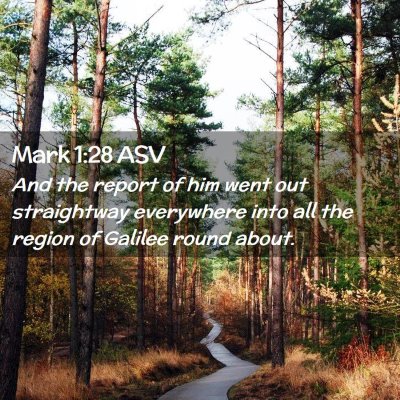 Picture 02 - Mark 1:28 ASV - And the report of him went out straightway - Bible Verse Picture
