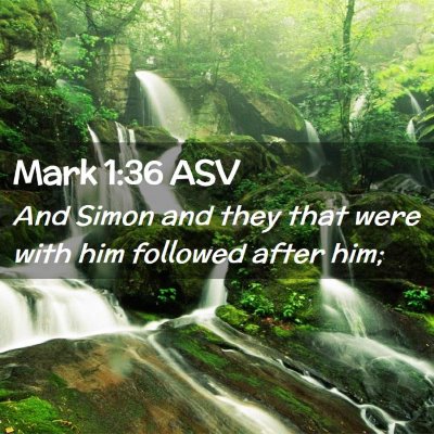 Picture 02 - Mark 1:36 ASV - And Simon and they that were with him followed - Bible Verse Picture