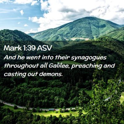 Picture 02 - Mark 1:39 ASV - And he went into their synagogues throughout all - Bible Verse Picture