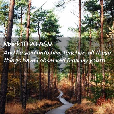Picture 02 - Mark 10:20 ASV - And he said unto him, Teacher, all these things - Bible Verse Picture