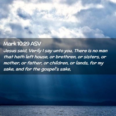 Picture 02 - Mark 10:29 ASV - Jesus said, Verily I say unto you, There is no - Bible Verse Picture